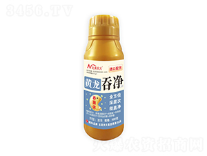 �S���̃�-�����r��