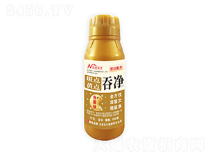 ���c�S�c�̃�-�����r��