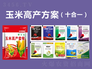 ���׸߮a������ʮ��һ��-�P�