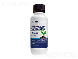 �������}-���_�S-˹����