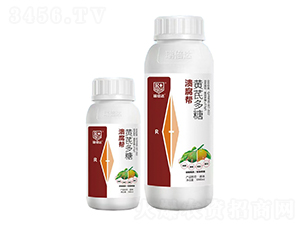 �S�ζ���-������-���_