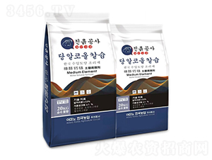 �Ǵ��}�V�����{�턩-�W�㘷