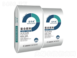 �ͺϷ���-�����-�W�㘷