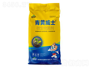 ΢�������-���S��ʿ-����Ƽ�