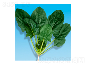 ���˷N��-孲�203-�A孷N�I