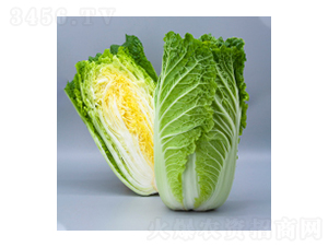 ��ײ˷N��-����-�A孷N�I