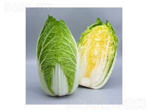 ��ײ˷N��-��ײ�15̖-�A孷N�I