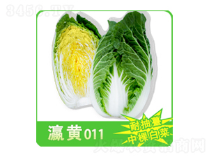 ��ײ˷N��-��S011-�A孷N�I