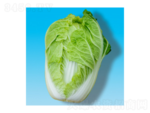 ��ײ˷N��-��S003-�A孷N�I