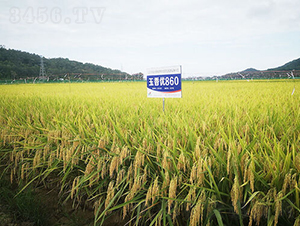 ���マ860-ˮ���N��-�𽡷N�I