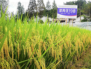 ��Ƀ�����-ˮ���N��-�𽡷N�I