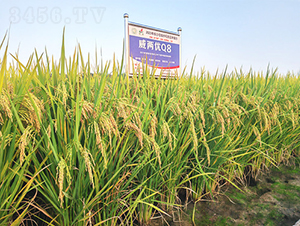 ���Ƀ�Q8-ˮ���N��-�𽡷N�I