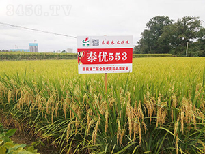 ̩��553-ˮ���N��-�𽡷N�I