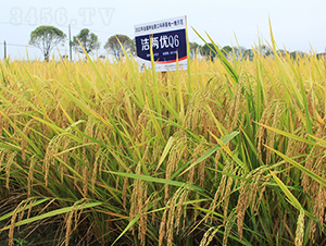 ���Ƀ�Q6-ˮ���N��-�𽡷N�I