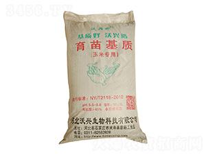 ���׌���������|-���d��-���d����