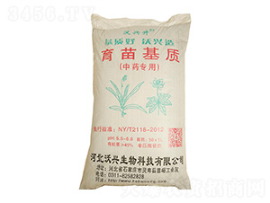 ��ˎ����������|-���d��-���d����