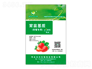 ��ݮ����������|-���d����