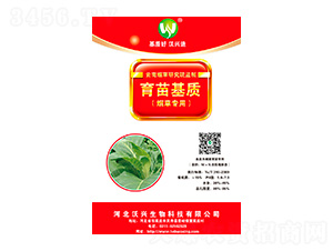 ���݌���������|-���d����