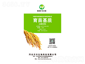 ˮ������������|-���d����