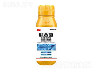 �ͺ�΢�������-�ĺϾ�-���S�r�I