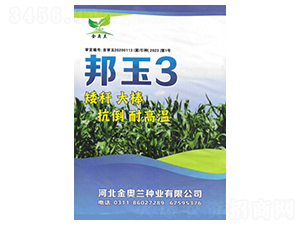 ����3̖-���׷N��-���S�N�I