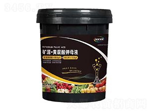 20kg礦源·黃腐酸鉀母液-雅苒生物