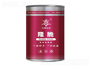 隆脆系列-天隆在田-天隆農業