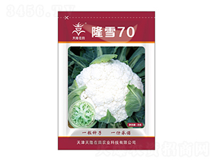 隆雪70-天隆在田-天隆農業