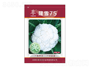 隆雪75-天隆在田-天隆農(nóng)業(yè)