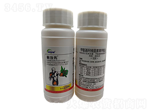 1%�װ������S���ر������}΢�鄩-�E����-�I�x����