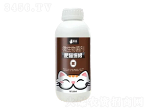 ΢�������-��؈����-��؈�r�I