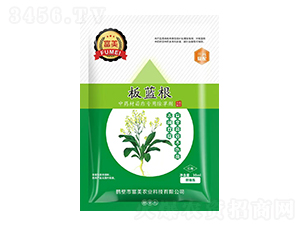 ���{����ˎ������ó��݄�-�����r�I