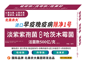 �M���������߳���1̖-�����r��