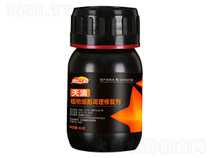 ���弚���{���ޏ̈́�-��@�S��-ͨ������