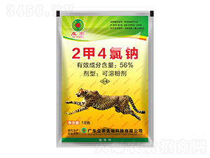 2��4���c-�V�|���r