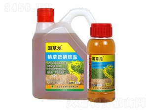 10%�����@�-��(gu��)����-�V�|���r(n��ng)