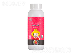 ����Ԫ��ˮ�ܷ���-����ɫ����-����ɭ