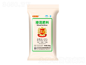 �������15-20-20-�����S-�Ѓ|�r�I