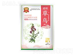草烏（附子）中藥材除草方案-苗豐樂-苗樂康農業
