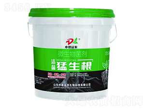 ΢�������-���������-�е����r