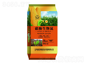 ̼ø���ﵪ-ʢ������-�е����r