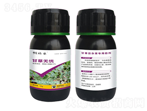 �ʲ����s�݌�������-�ʲݟo�n-�r���r�I