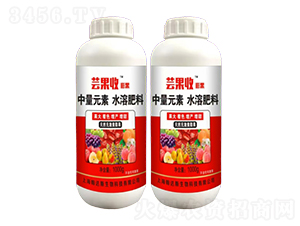 棗樹保花保果-蕓果收-農哥農業