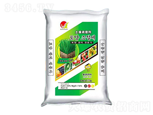 ʿ���{�턩-���������