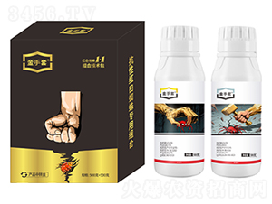 �t��֩��1+1�M�ϼ��g��-������-��ԣ��