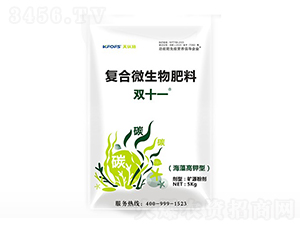 �pʮһ�ͺ�΢����-����ʩ