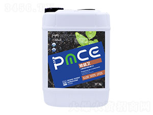 ��������̎���lʿ-�����l-����˹