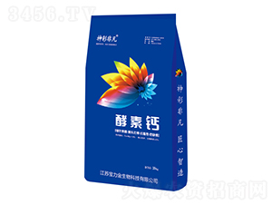 �����}-��ʷǷ�-������