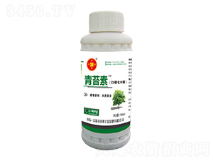 ��̦�أ�C9�ǻ�ľ����-���r��ʿ