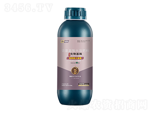 地果膨大基酶-云臺大化